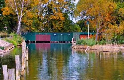 HAUS MÜRITZBRISE / EG-Fewo - Foto 25