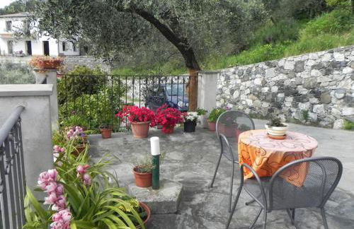 azienda agricola zulin casa elena - Foto 10