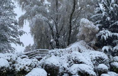 The Hornbill at Home Farm Shropshire - Foto 35