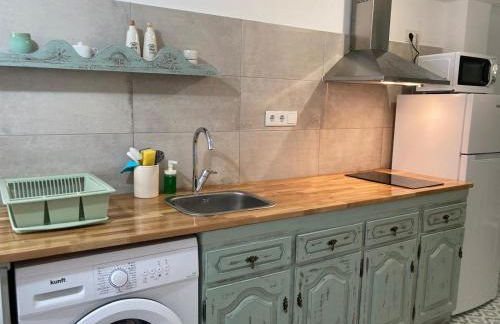 Melro-d' água - Foto 24