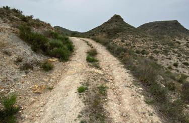 Bella Vista Rural Retreat - Foto 25