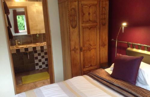 Glan Llyn Farm House - Foto 47