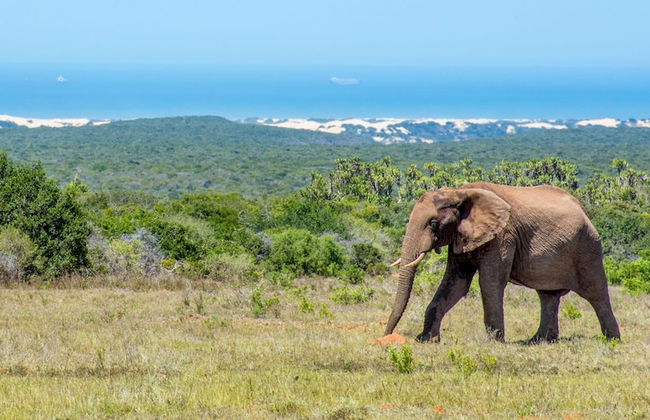 Sundays Mouth Guesthouse - Photo 19