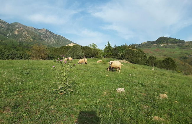 Giardino Donna Lavia - Photo 50