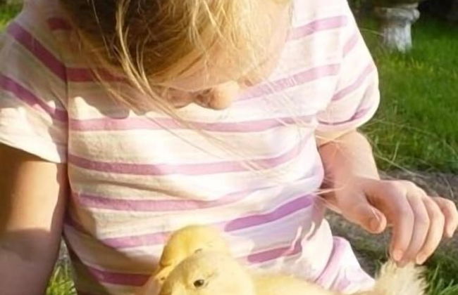 Birchill Farm Holiday Cottages - Photo 58