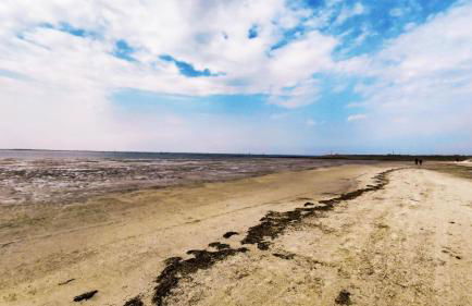 Gästehaus Zur alten Post - Foto 59