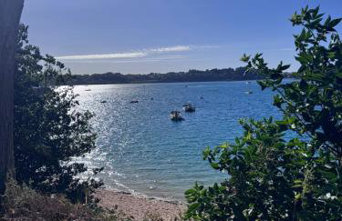TY LOUIS Au dessus du port & de la plage de Loguivy - Foto 3