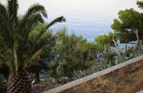 Milic Apartments - Foto 60