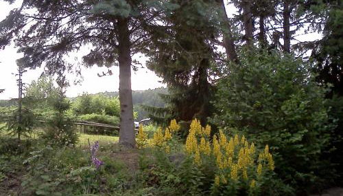 Haus am Wald - Foto 5, Garden