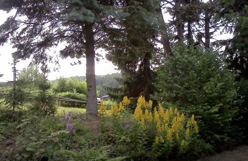 Haus am Wald - Foto 5