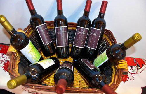 Charming house in Icod de los Vinos with garden 70 m² - Foto 35