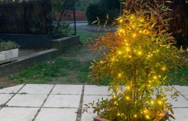 Casa Gialla 89 - Foto 31