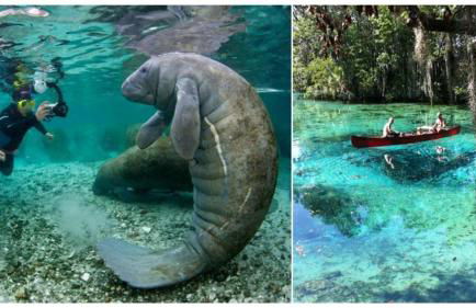 The Beach on Longboat Key - Foto 45