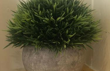 Cosy Shepherds Hut, heating, Hot Tub, WiFi and magnificent view - Foto 47