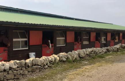 Tarnside Cottages - Foto 41