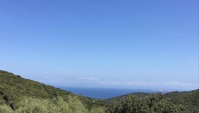 Agriturismo Lu Stabbiacciu - Photo 2