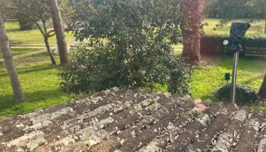 Il Vecchio Mulino - Foto 5