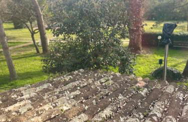 Il Vecchio Mulino - Foto 5