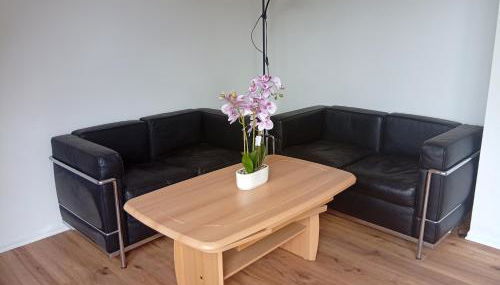 Altstadtnahe Wohnung & Balkon & ruhig - Foto 4