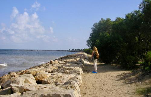 Rincón cerca del mar para nomadas digitalas WF1Gb - Foto 35