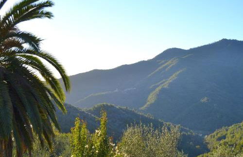 Peaceful Ligurian Hill Stay - Foto 6
