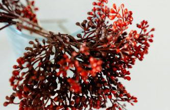 Thatched Home With Large Garden Near North Sea - Foto 10