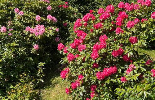 Mawddach View, Snowdonia Hot tub & Pet friendly - Foto 16