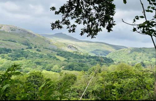 The Forager's Rest - Foto 68