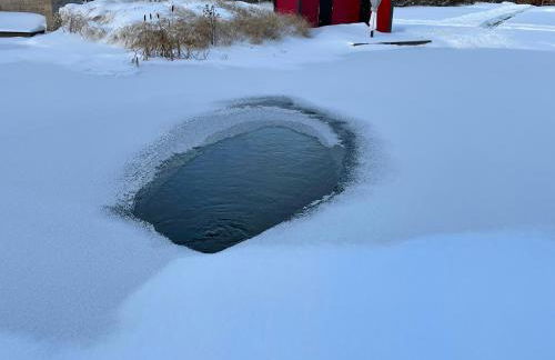 Romantic Wooden Lodge,Sauna,Schwimmteich,alleinstehend,absolut ruhig - Foto 26