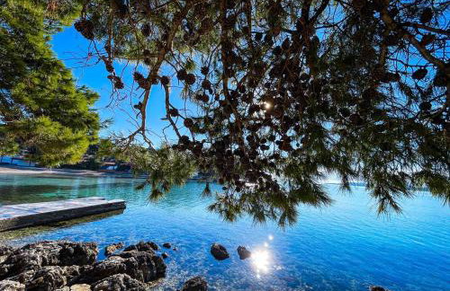 Apartments Stipanovic - Photo 14