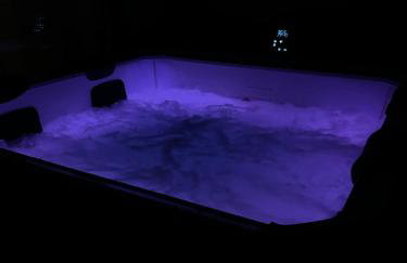 Penthouse Jacuzzi SeaView Suite - Foto 13