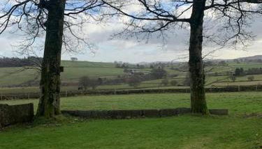 Ivy House - Foto 3, Garden, Garden view