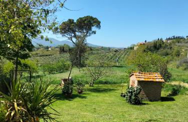 L'oca Nera - Foto 33