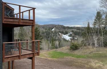 North Shore Vista Views Ski in Ski out Hot Tub - Foto 12