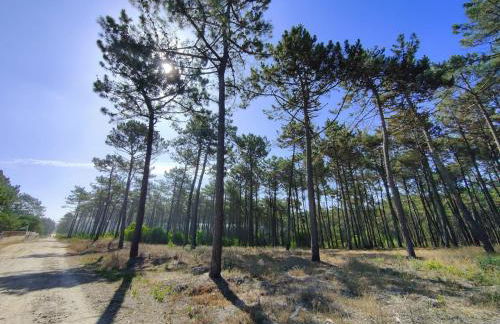 Casa Amarela - Foto 24