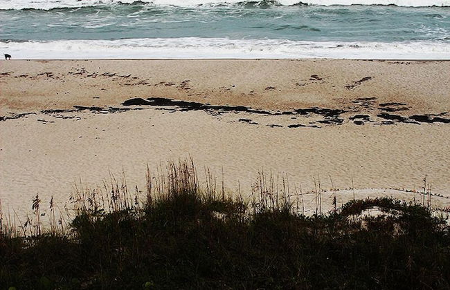 Tuckaway Shores Resort - Foto 72