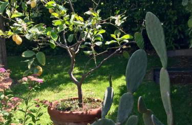 The yellow house - Foto 5