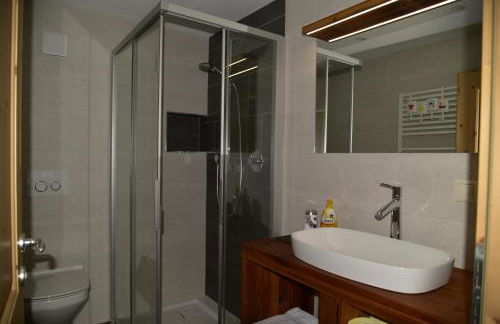 Apartement Schuster Lake Prags Braies - Foto 13