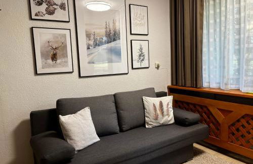 Winterwohnung Almberg - Foto 1