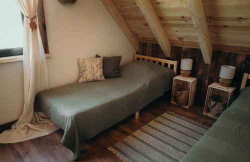 Mech i brzoza - Foto 27