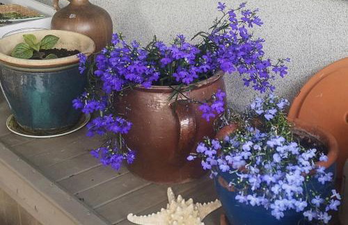 Apartamenty Zielona Góra - Foto 36