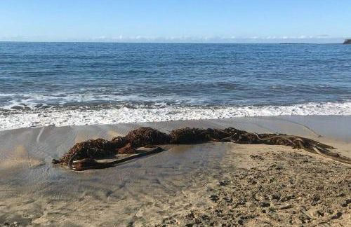 Fabulous Beach Get Away - Brand New Beach House - Foto 17