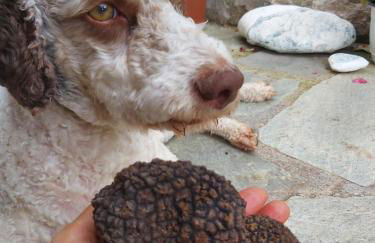 The Strawhouse under the mountain - Foto 41