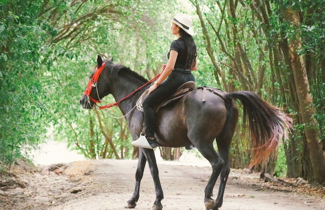 FINCA ECOTURISTICA LOS JAGUEYES - Foto 23