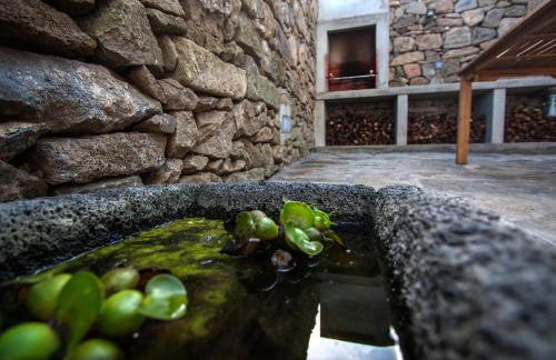 Casa do Simão - Photo 51