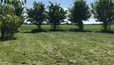 The HopBarn - Foto 3, Garden view