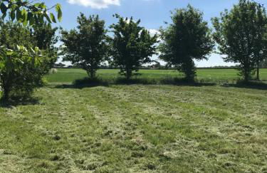 The HopBarn - Foto 3