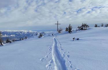 Villa Villi - Foto 41