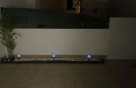 Rosas no Lagar - Foto 9