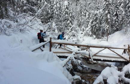 Civico 10 - Photo 20